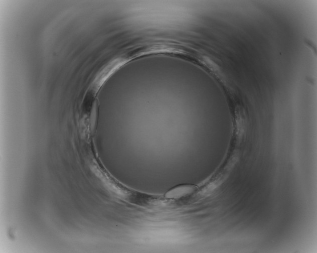 X0000099511369200805151449