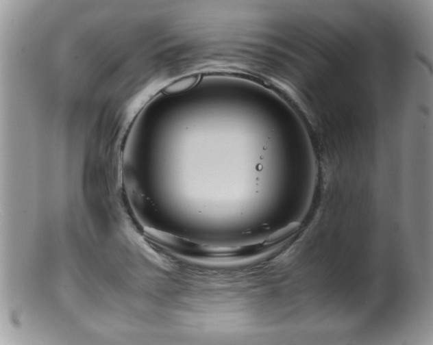 X0000099511371200805151449