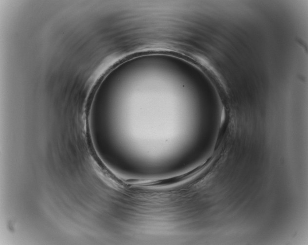 X0000099511372200805151449