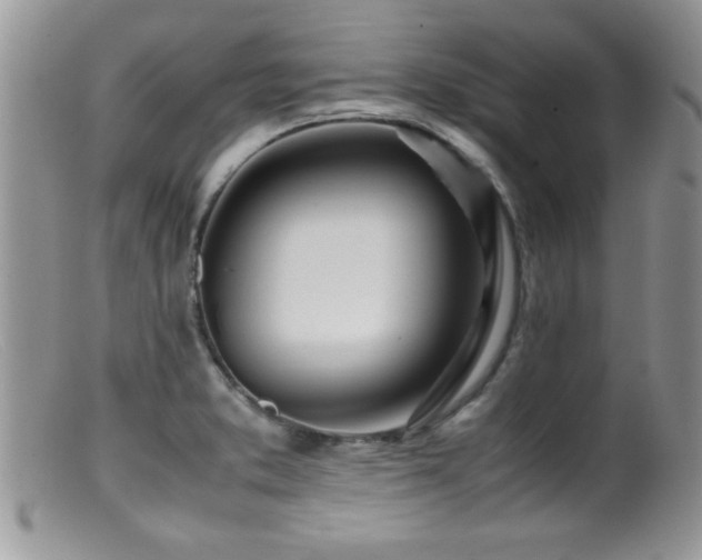 X0000099511373200805151449