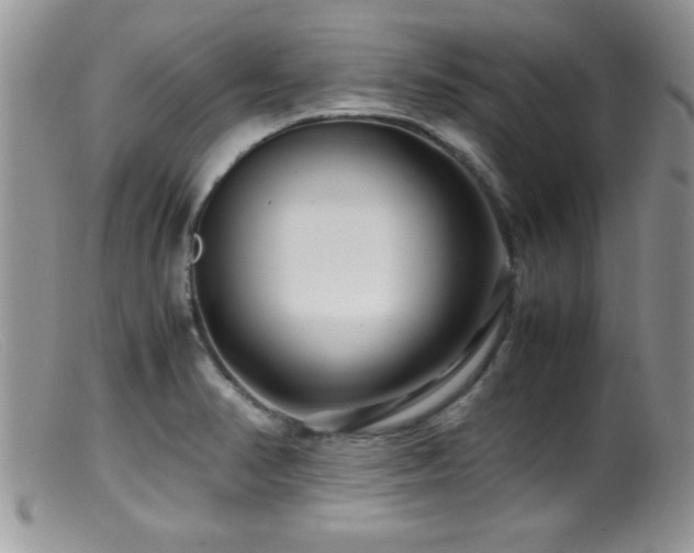 X0000099511374200805151449