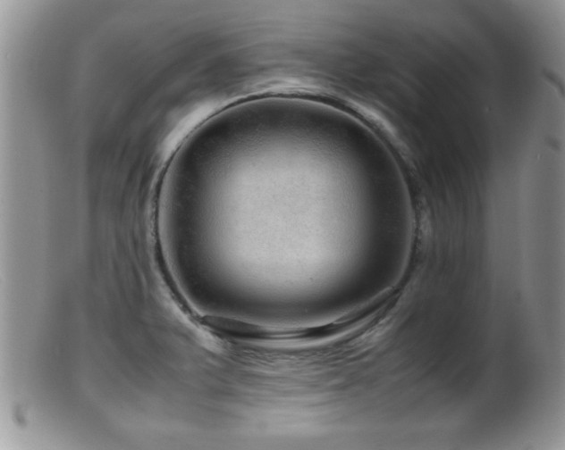 X0000099511375200805151449