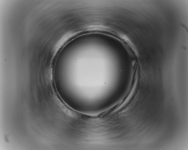 X0000099511376200805151449