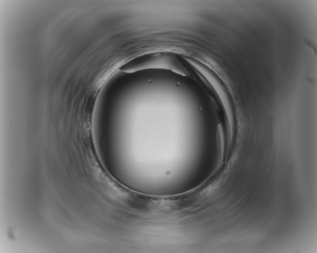 X0000099511377200805151449