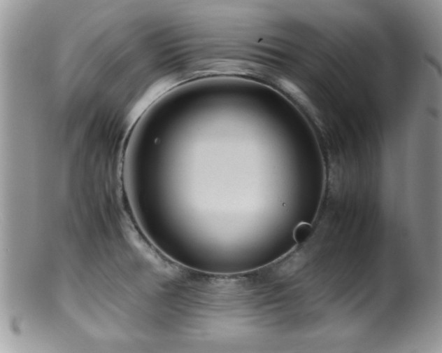 X0000099511378200805151449