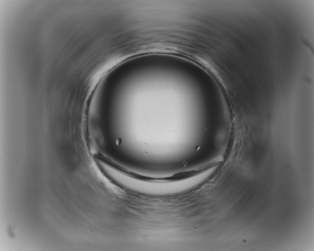 X0000099511379200805151449