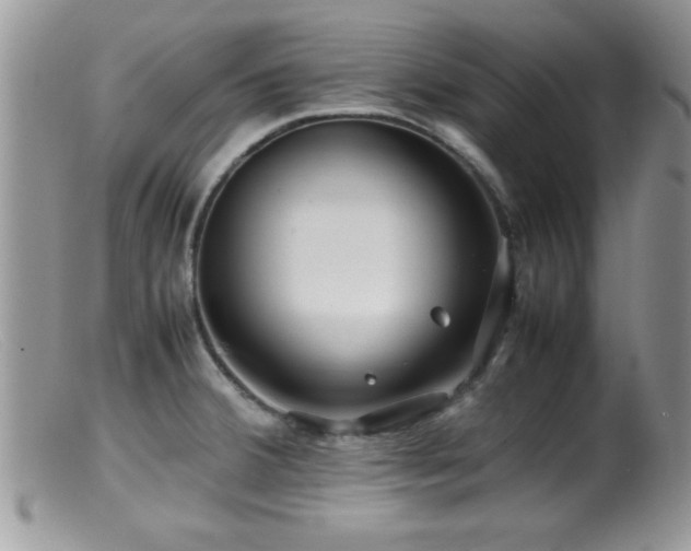 X0000099511380200805151449