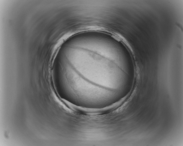 X0000099511381200805151449