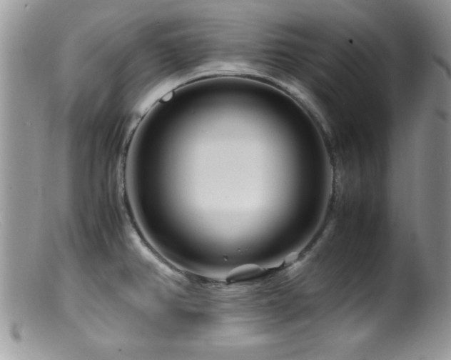 X0000099511382200805151449