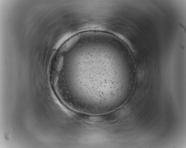X0000099511383200805151449