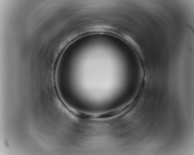 X0000099511384200805151449