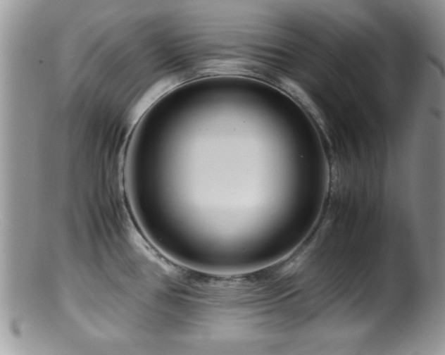 X0000099511386200805151449