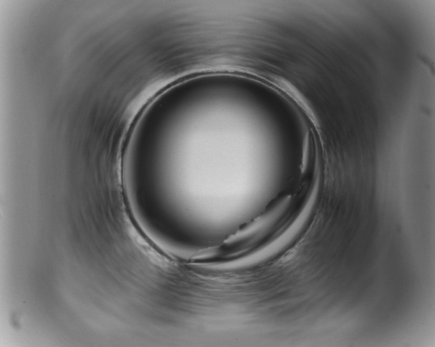 X0000099511388200805151449