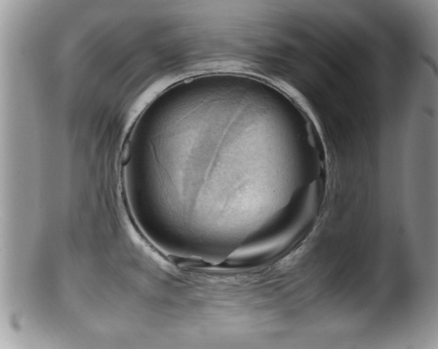 X0000099511389200805151449