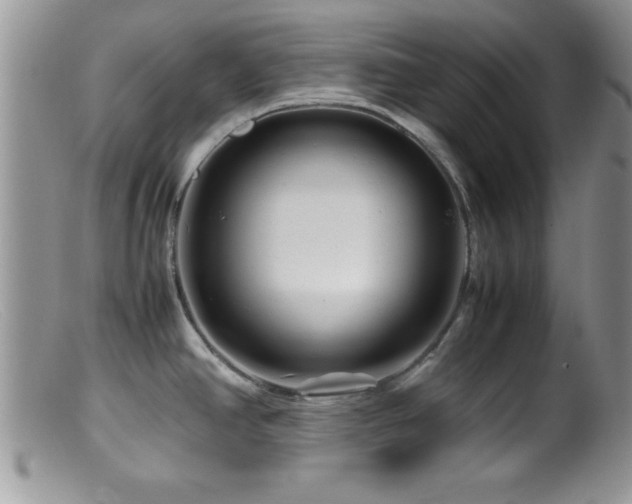 X0000099511390200805151449