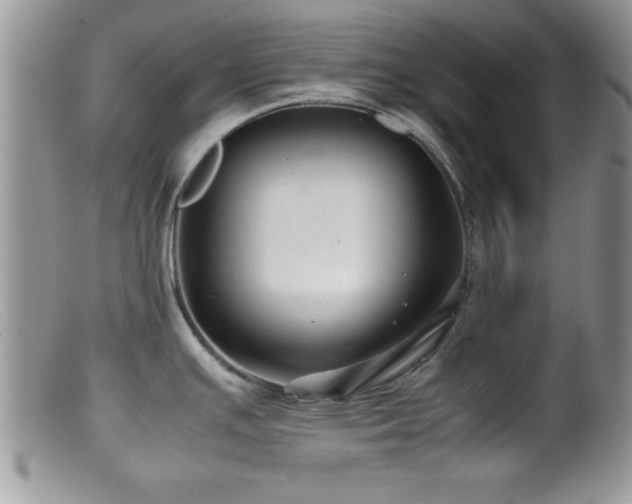 X0000099511391200805151449