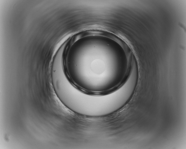 X0000099511392200805151449
