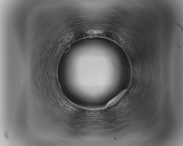 X0000099511393200805151448