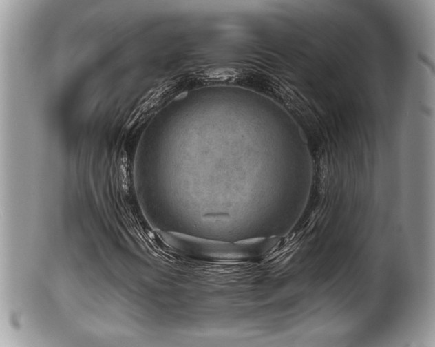 X0000099511394200805151448