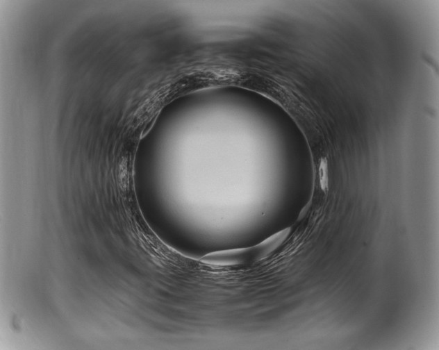 X0000099511395200805151448