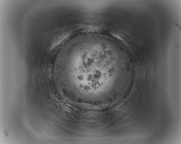 X0000099511399200805151448