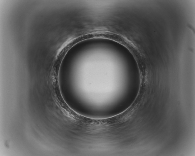 X0000099511400200805151448