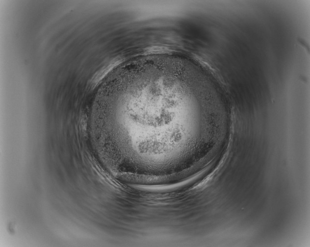X0000099511401200805151448