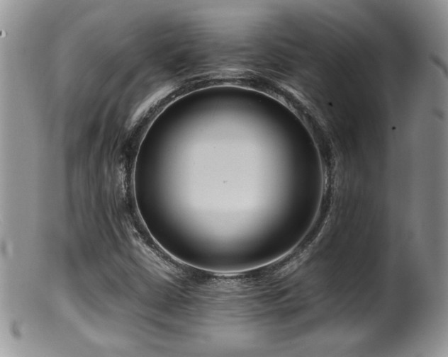 X0000099511402200805151448