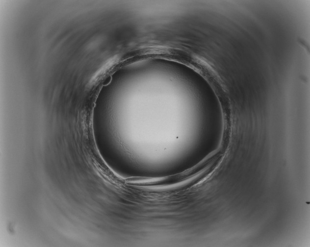 X0000099511403200805151448