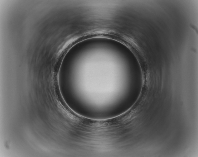 X0000099511404200805151448