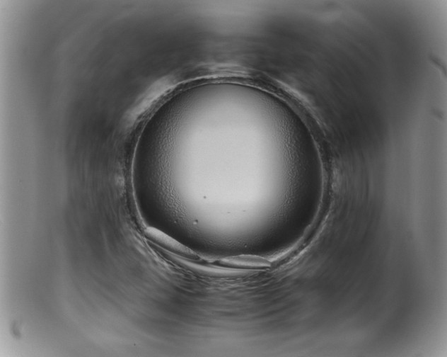 X0000099511407200805151448