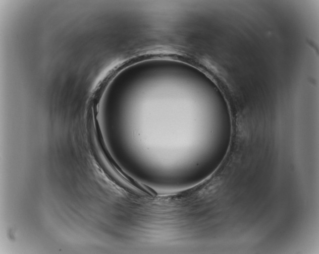 X0000099511408200805151448