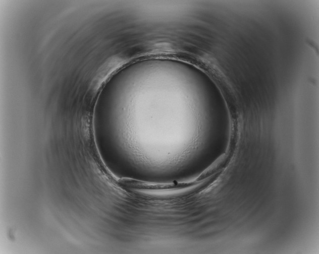 X0000099511409200805151448