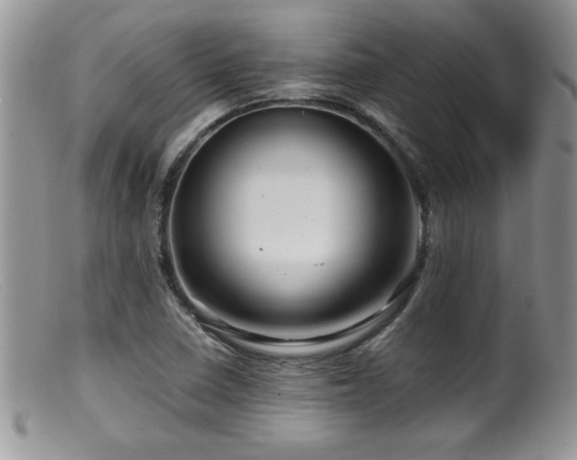 X0000099511410200805151448