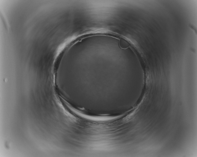 X0000099511414200805151448