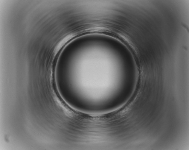 X0000099511418200805151449