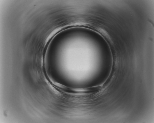 X0000099511420200805151449