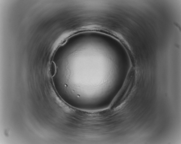 X0000099511421200805151449