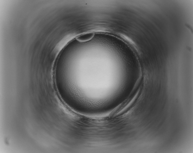 X0000099511423200805151449