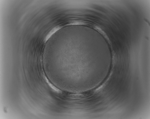 X0000099511425200805151449