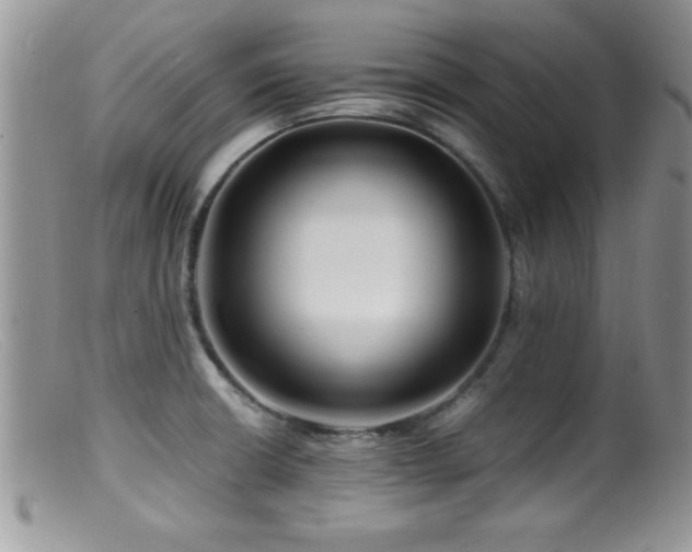 X0000099511426200805151449