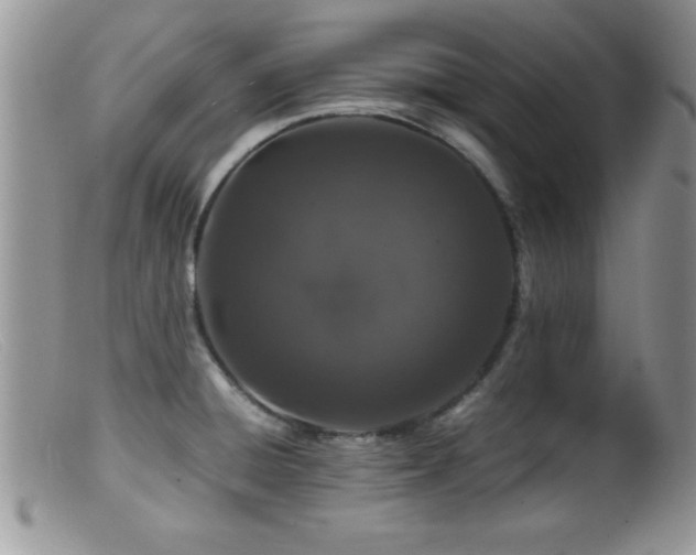 X0000099511428200805151449