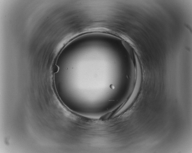 X0000099511430200805151449