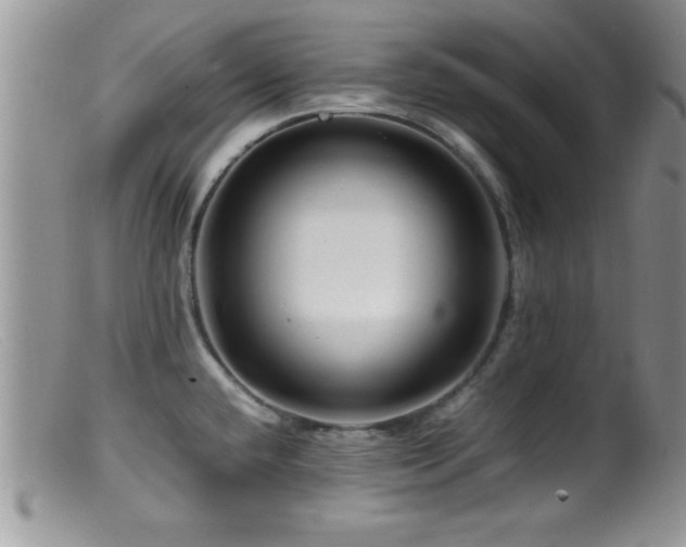 X0000099511432200805151449