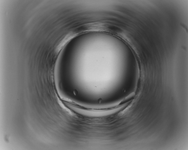 X0000099511433200805151449