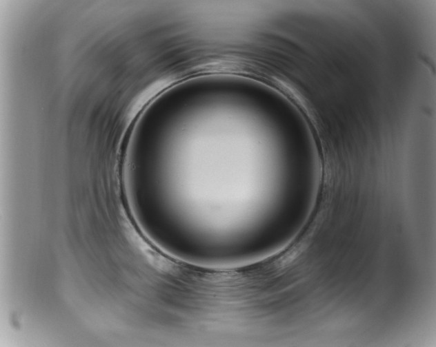 X0000099511434200805151449