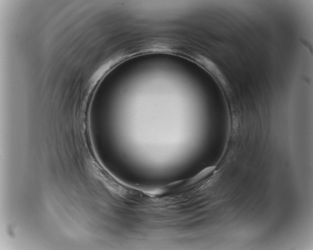 X0000099511435200805151449