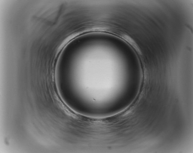 X0000099511436200805151449