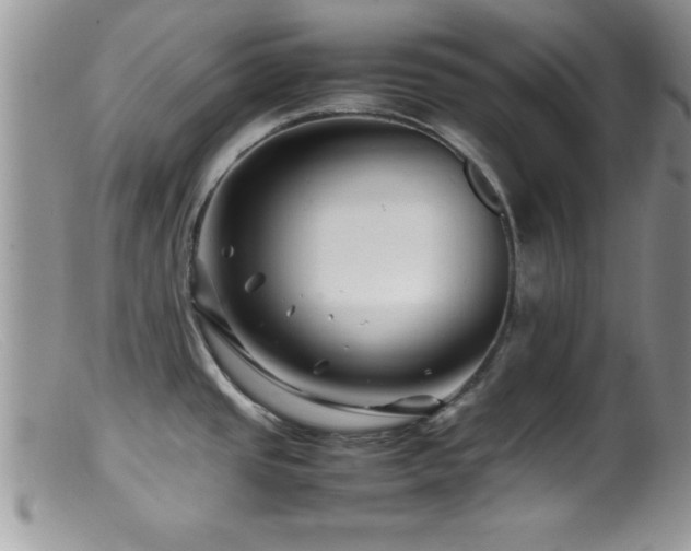 X0000099511437200805151449
