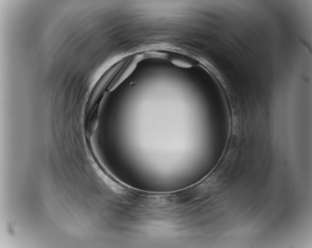 X0000099511438200805151449